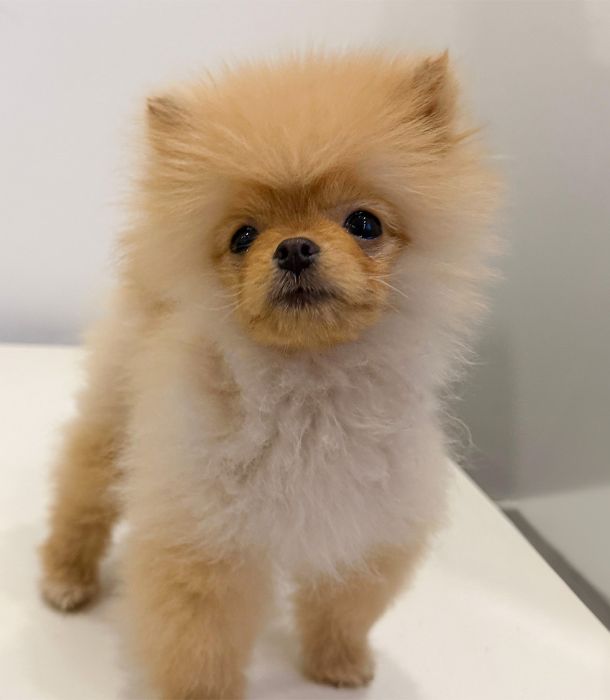 MYAUTOCENTER – Gebraucht- und Jahreswagen mit Werkstattservice in Pfaffenhofen MYAUTOCENTER – Gebraucht- und Jahreswagen mit Werkstattservice in Pfaffenhofen